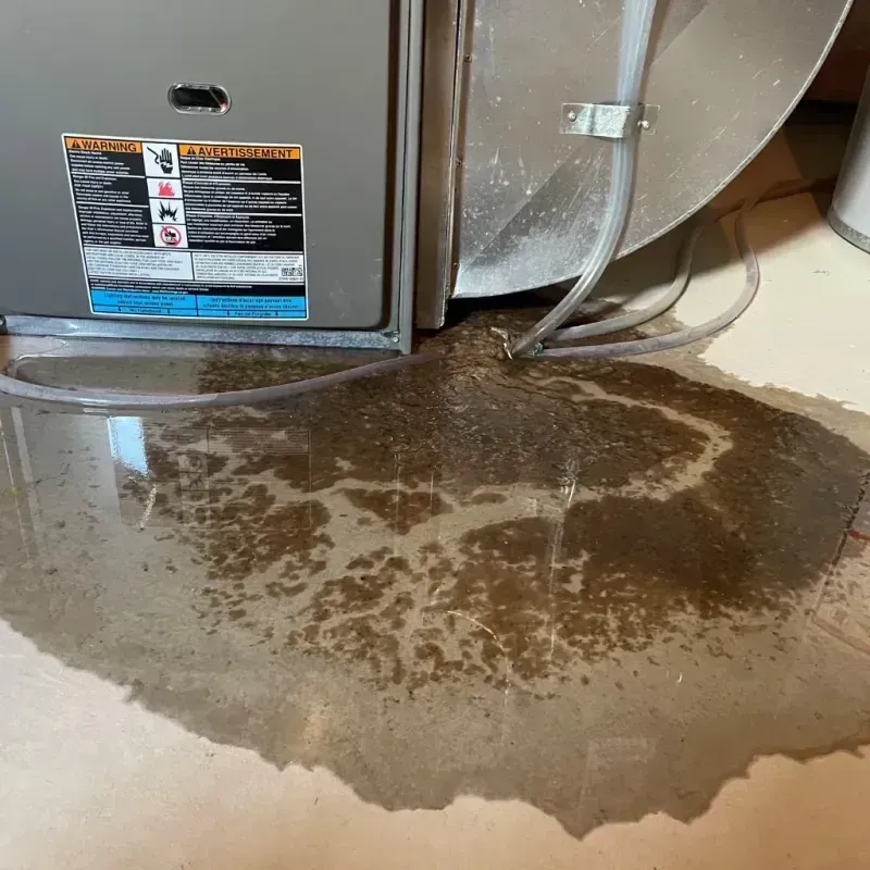 Appliance Leak Cleanup in Carleton, MI